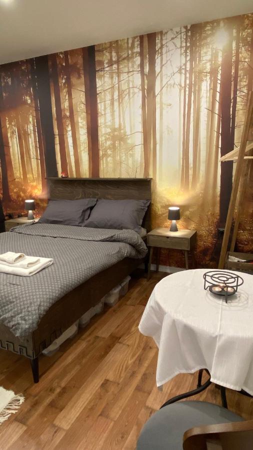 Studio Ray Town Centre Spišská Nová Ves Exteriör bild